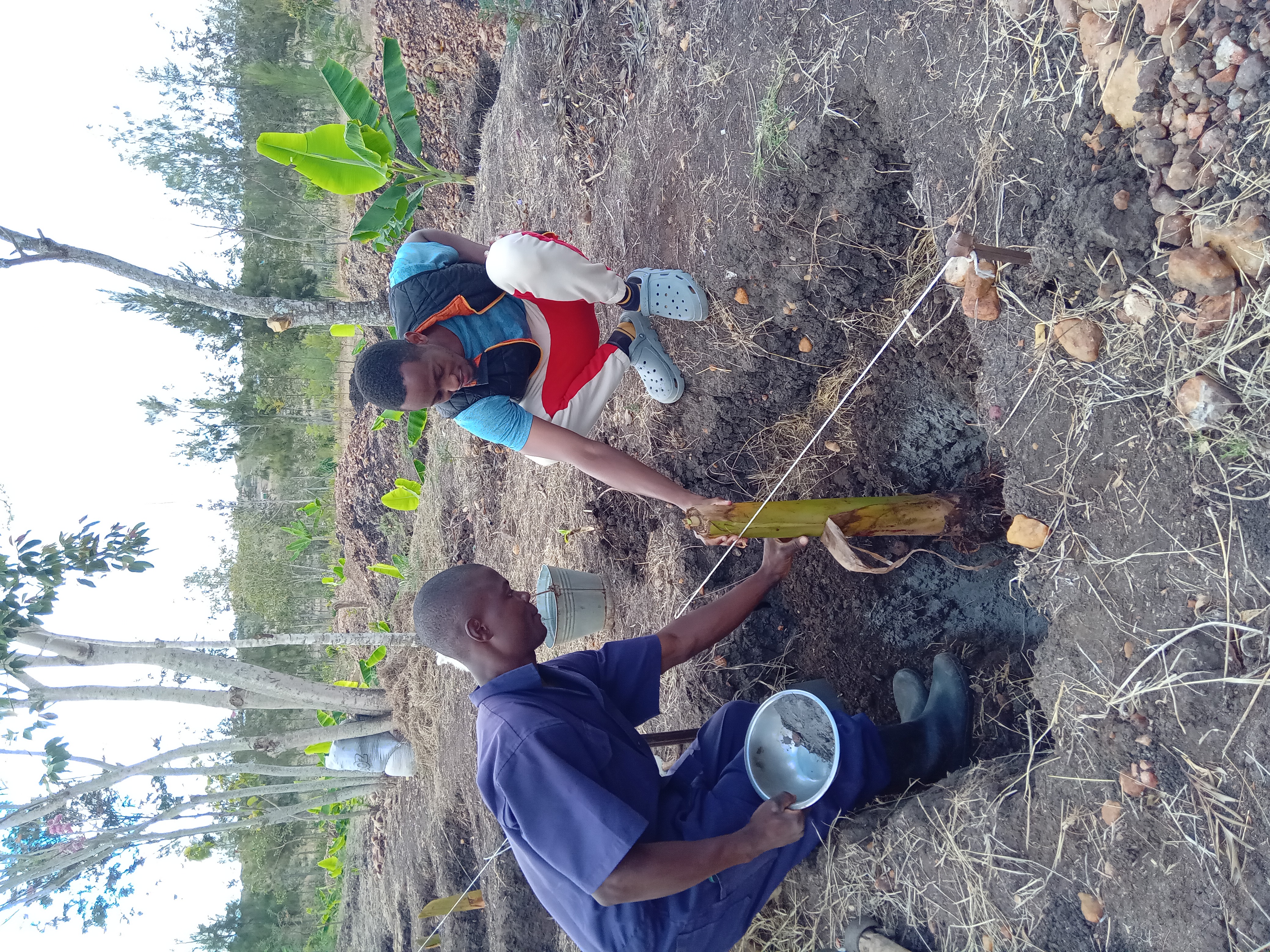 Plantain Boss Kenya