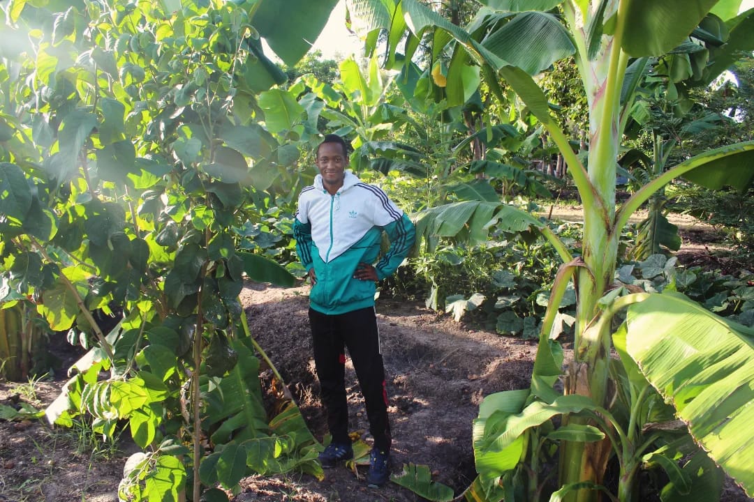 Plantain Boss Kenya